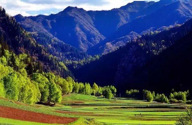 不只有青海湖,盘点青海旅游最值得去的地方_祁连山草原