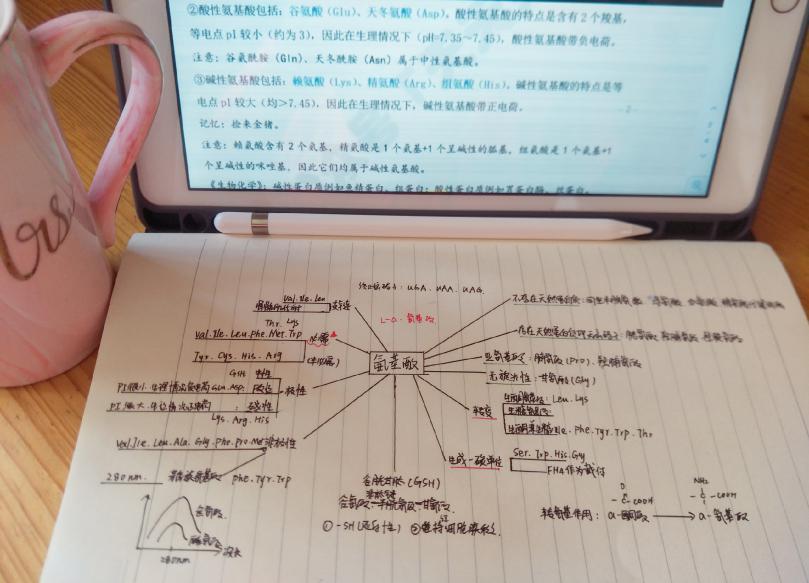 不怕同学是学霸就怕学霸放长假沈药学子网课笔记大公开