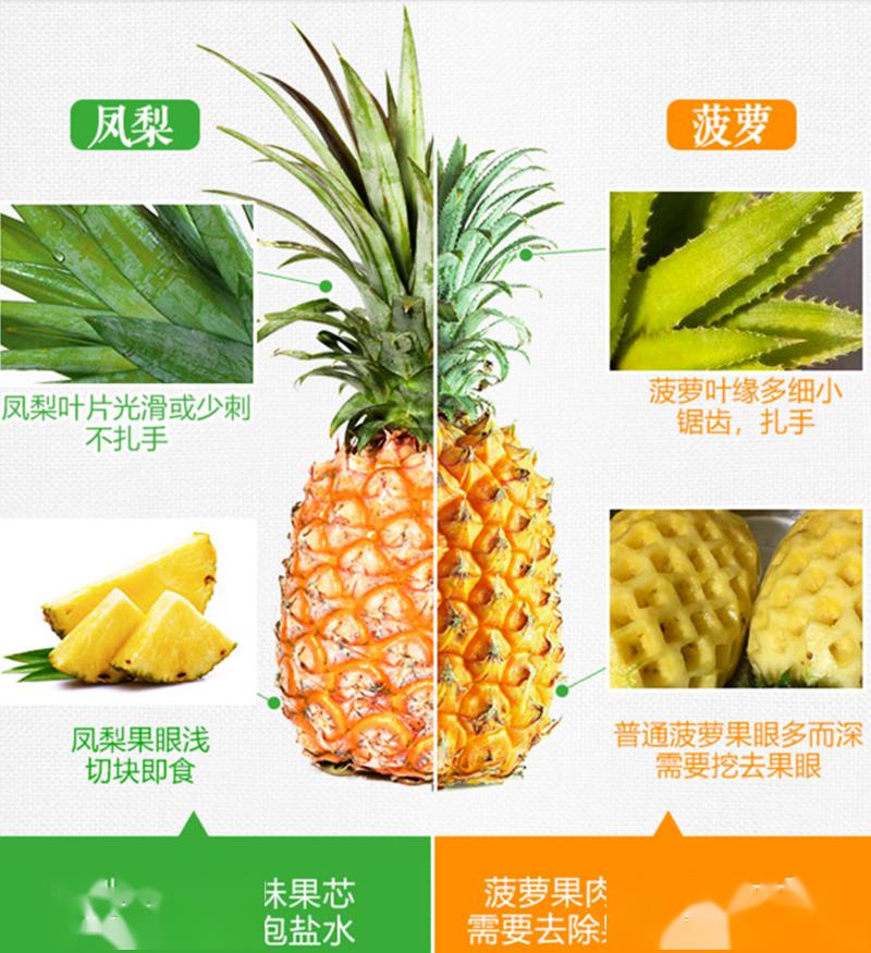 别把凤梨当菠萝了!它们是有区别的哦