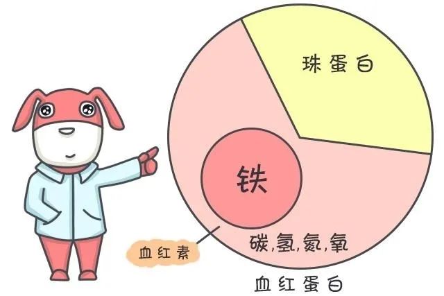 10个孕妈3个贫血？铁没补好，容易生出早产儿！