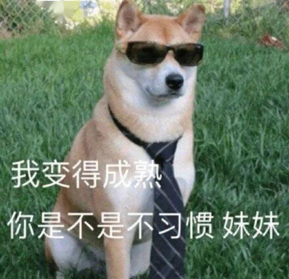 【快乐源泉表情包~】