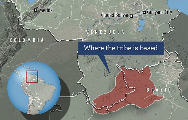 巴西最大土著部落驚現首例新冠病毒感染，專家擔心疫情將導致滅族 國際 第1張