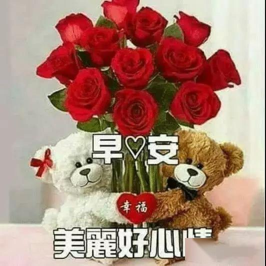 阳光暖人心的早安问候语动态表情图片,早上好动态祝福