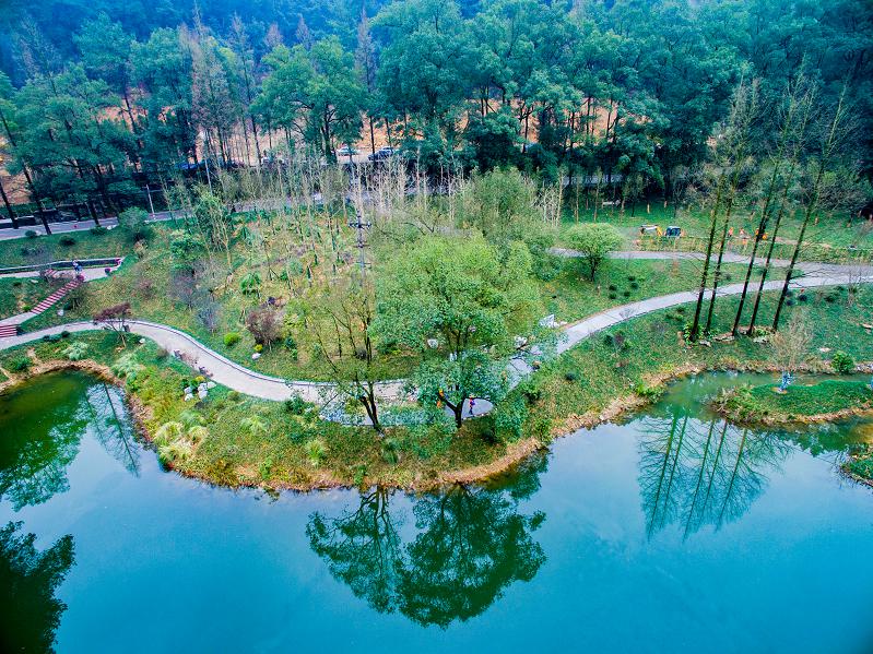 景观价值,整合黛湖沿线水系,山林与动植物资源,通过恢复湿地水文,增加