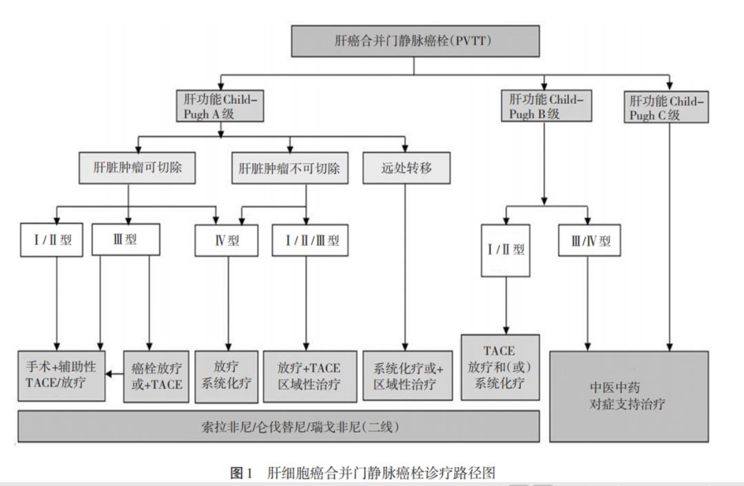 【介入零距离】专访吕维富教授:大肝癌合并门静脉癌栓治疗经验分享