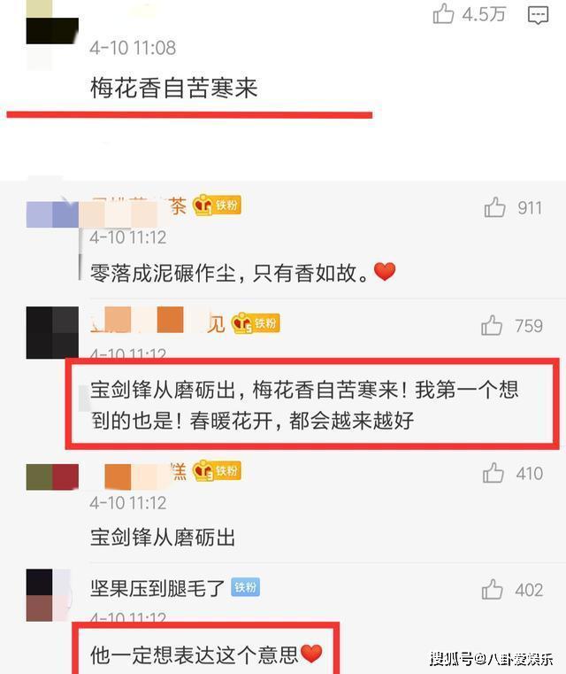 肖战时隔48天再次露面，一张图片内涵深刻，疑正