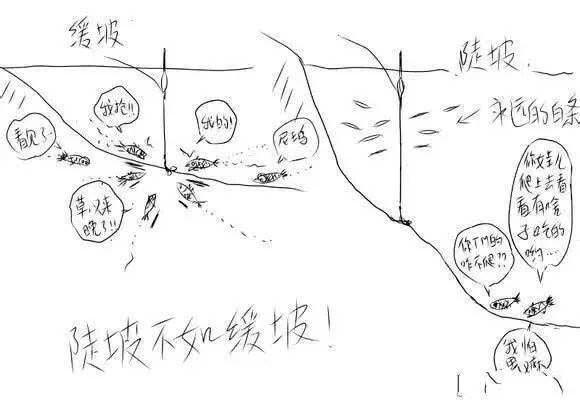 枯水期若了解河道是缓坡,深浅交接铧尖处的话,也可选这些地方作为钓位