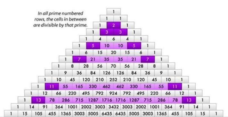 六月数学 | 奇妙的杨辉三角与二项式乘方