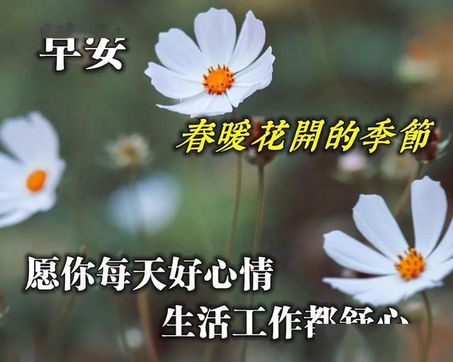 这个四月早上好动态图片大全 早上好祝福语唯美的句子