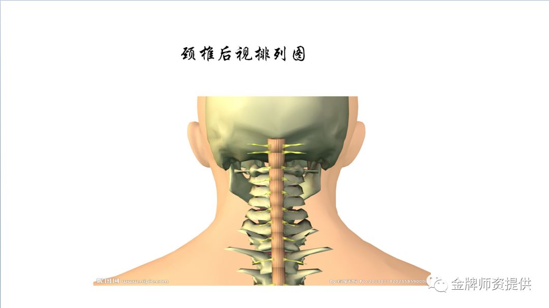 第一颈椎c2 它出问题