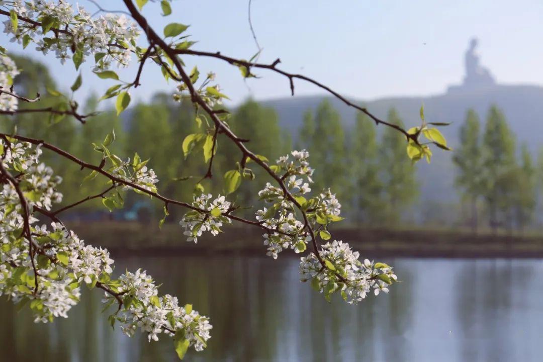 【最是一年春好处】春风拂面 来六鼎山感受大自然