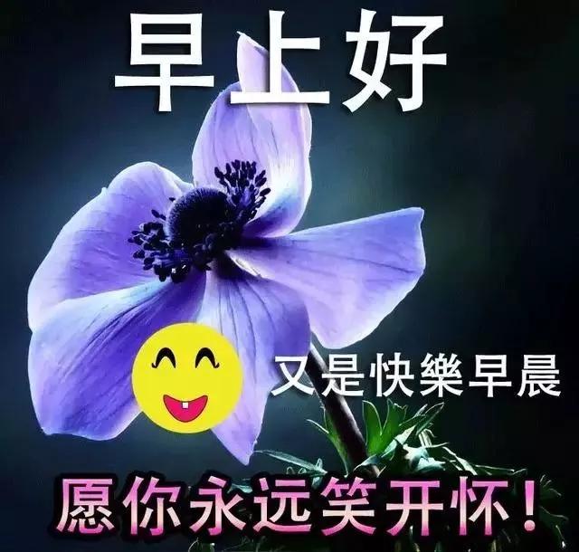 4月10日问候大家早上好动图美女2020,清晨祝福早上好问候语语录