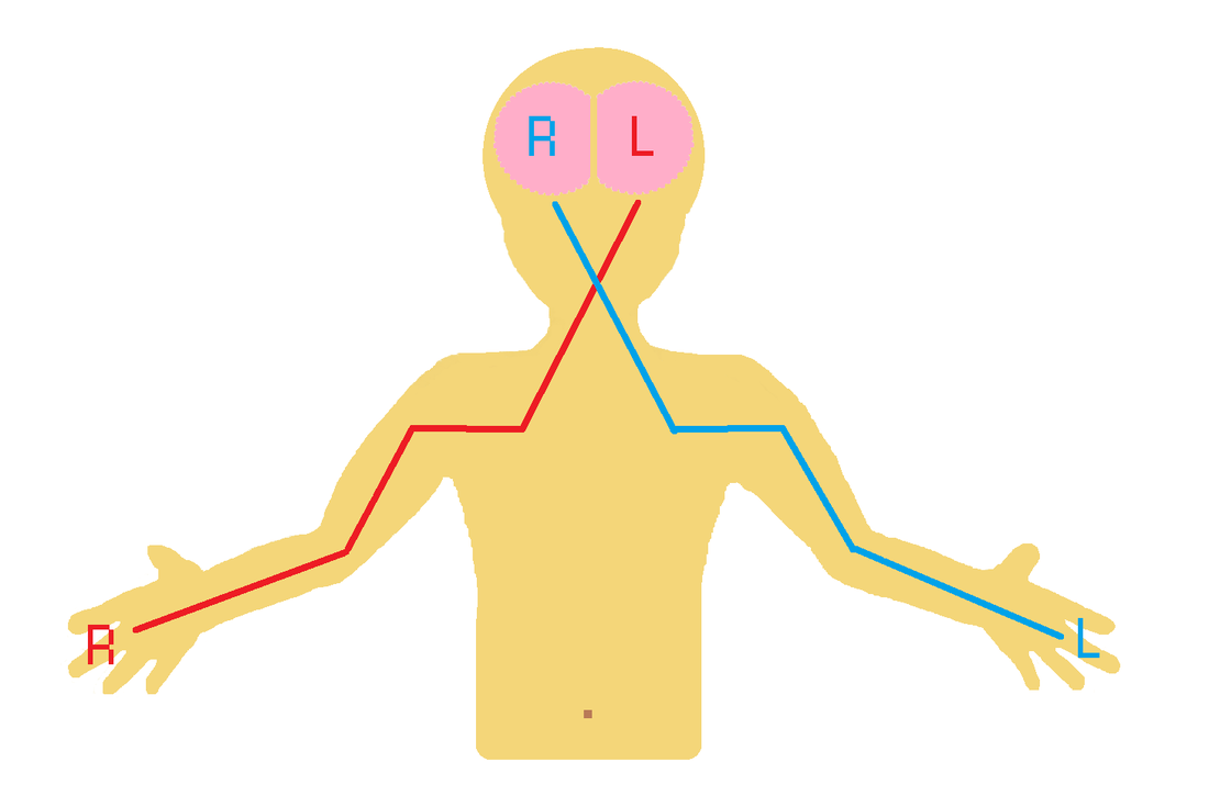 「踏板」为什么一定要用右脚踩油门？，