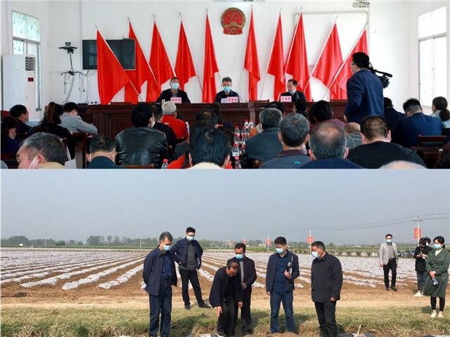 4月9日,镇平县2020年烟叶移栽现场会在马庄乡召开,县领导毕