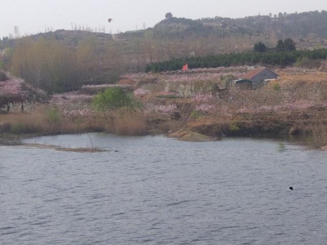 翻山越岭觅钓点,无私分享给钓友来约钓._水库