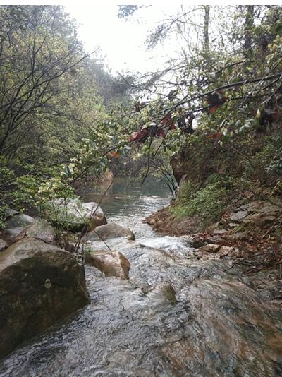 春日游周潭大山