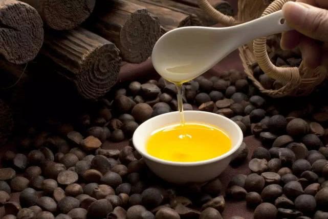 茶油120块钱一斤，油茶树市场前景广阔？