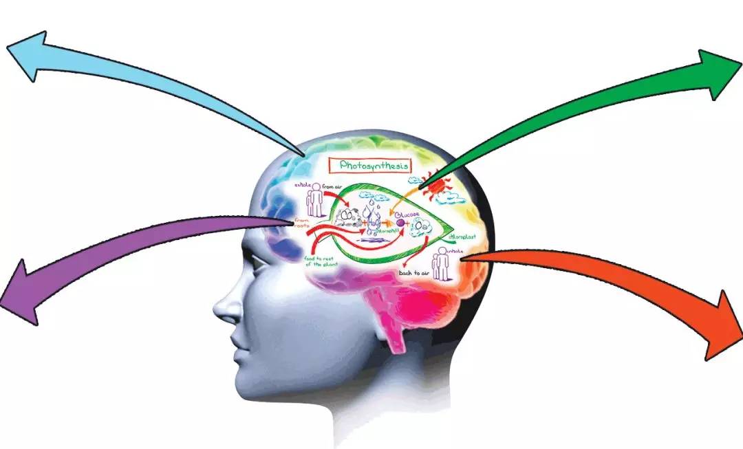 脑科学研究你永远想不到运动能让大脑变得多么强大