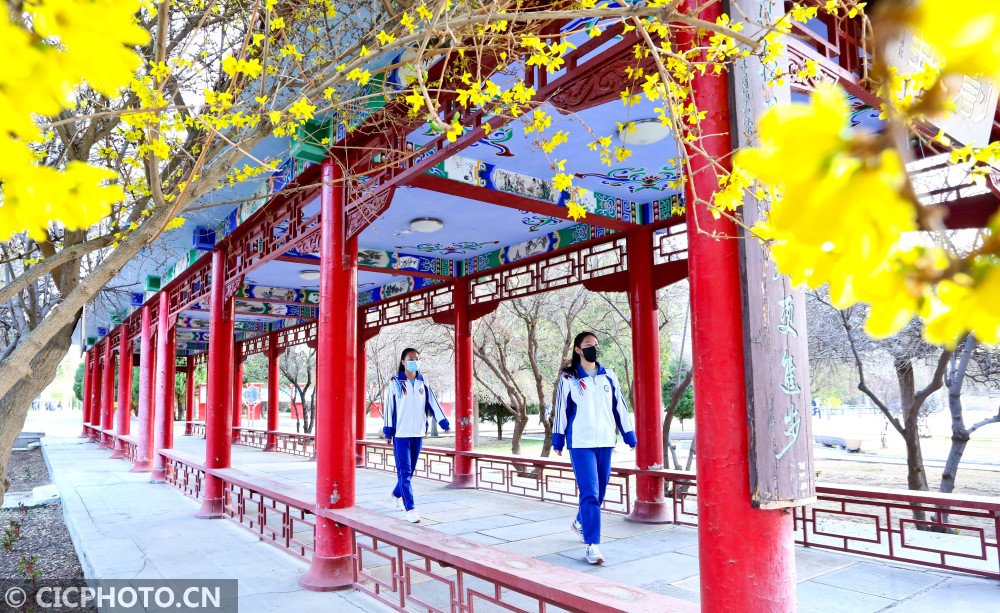 在甘肃省张掖市第二中学,同学们按疫情防控互相相隔1.
