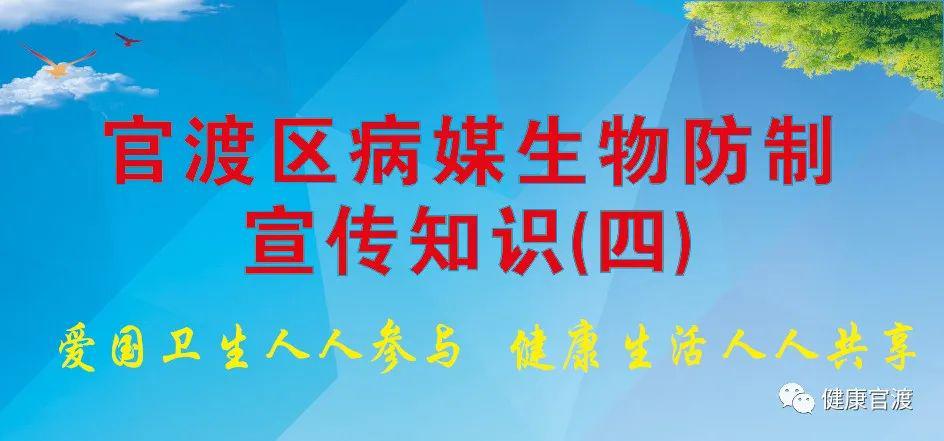 【爱国卫生月】官渡区病媒生物防制宣传知识(四)防制蟑螂的方法