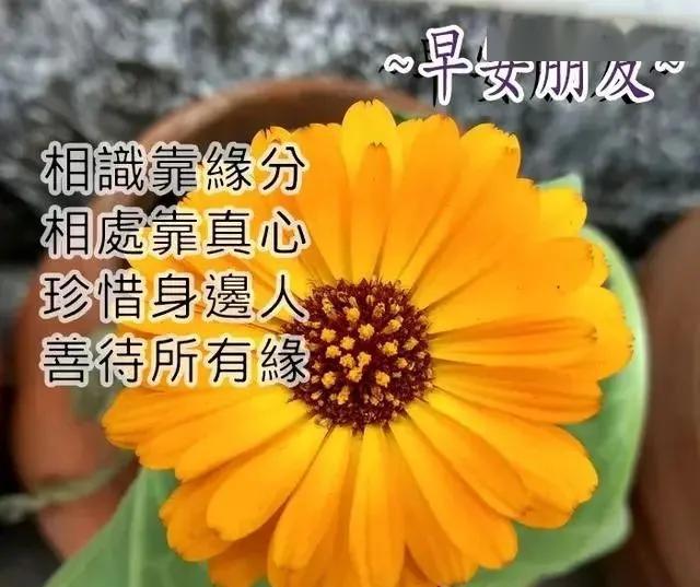 阳光暖心早上好祝福语及关心句子 特别漂亮的大家早上