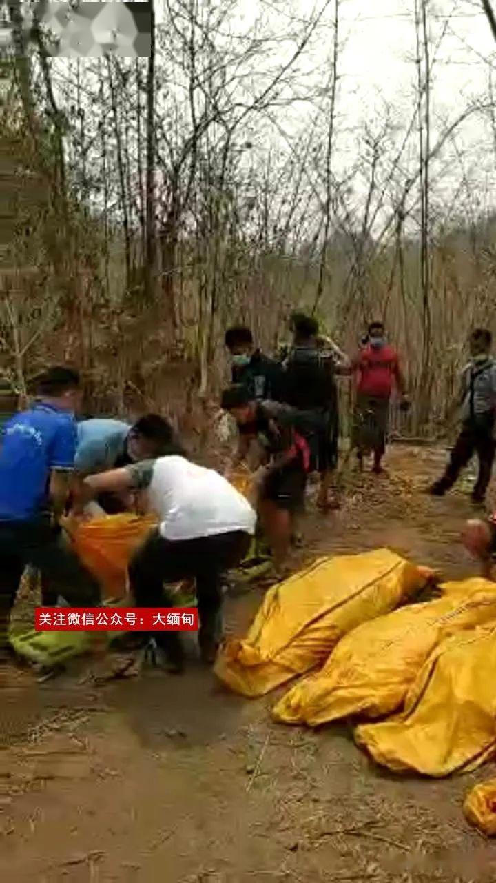 缅甸北部5人遭枪杀身亡!