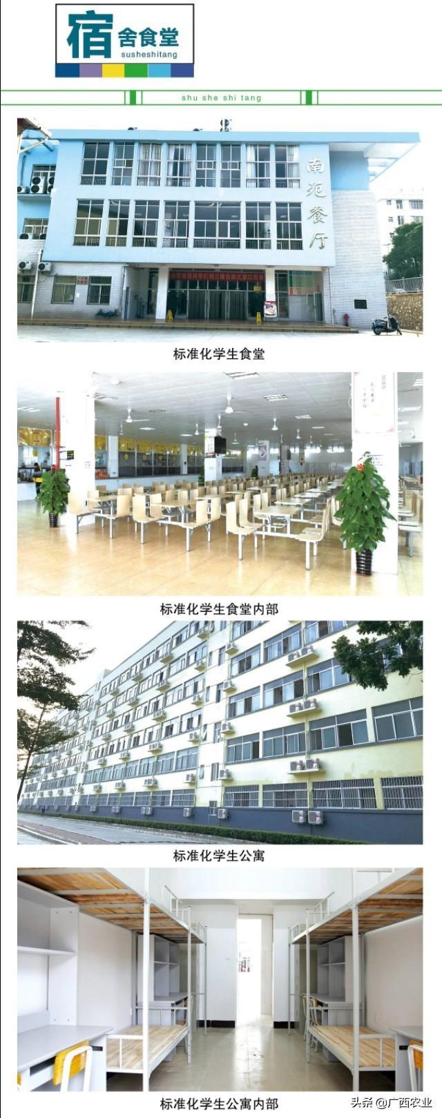 广西农业职业技术学院:春风十里 "双高"农职在等你