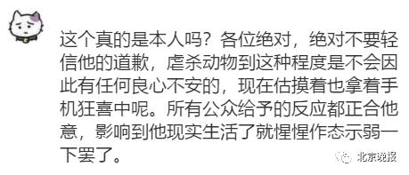 拍虐猫视频贩卖的大学生道歉，网友：你只是后悔事情闹大了