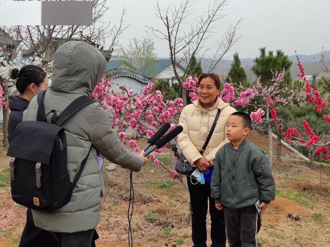 桃花岛 等你来嗅芬芳