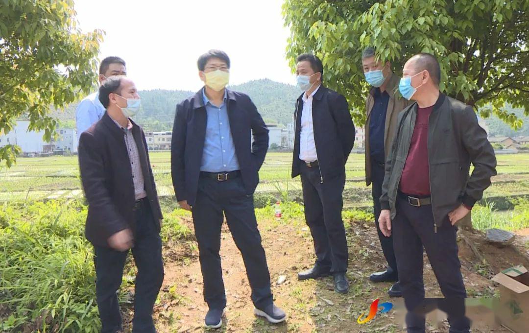 市领导到我县调研乡镇污水处理设施建设工作