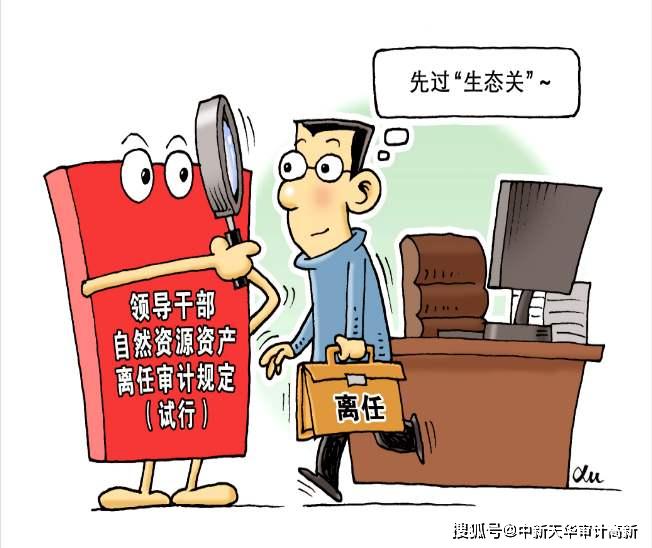 离任审计是什么？有什么用？