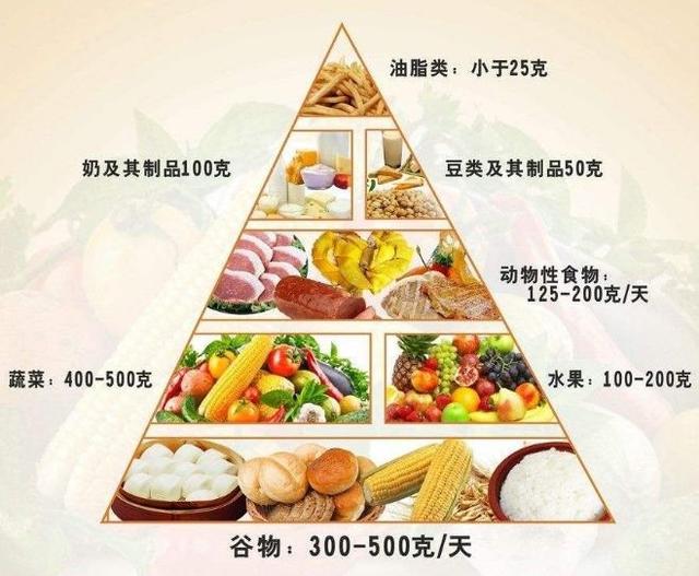 合理的饮食意思是学会搭配自己的饮食结构,可以多参考膳食营养金字塔