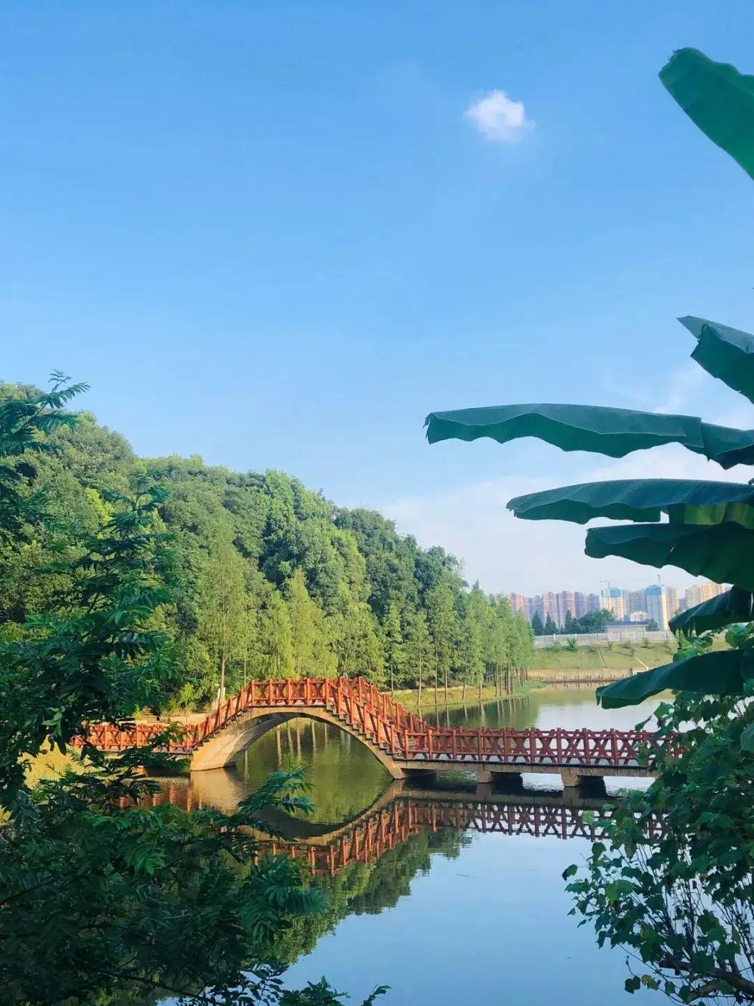 长沙园林生态园--人湖东