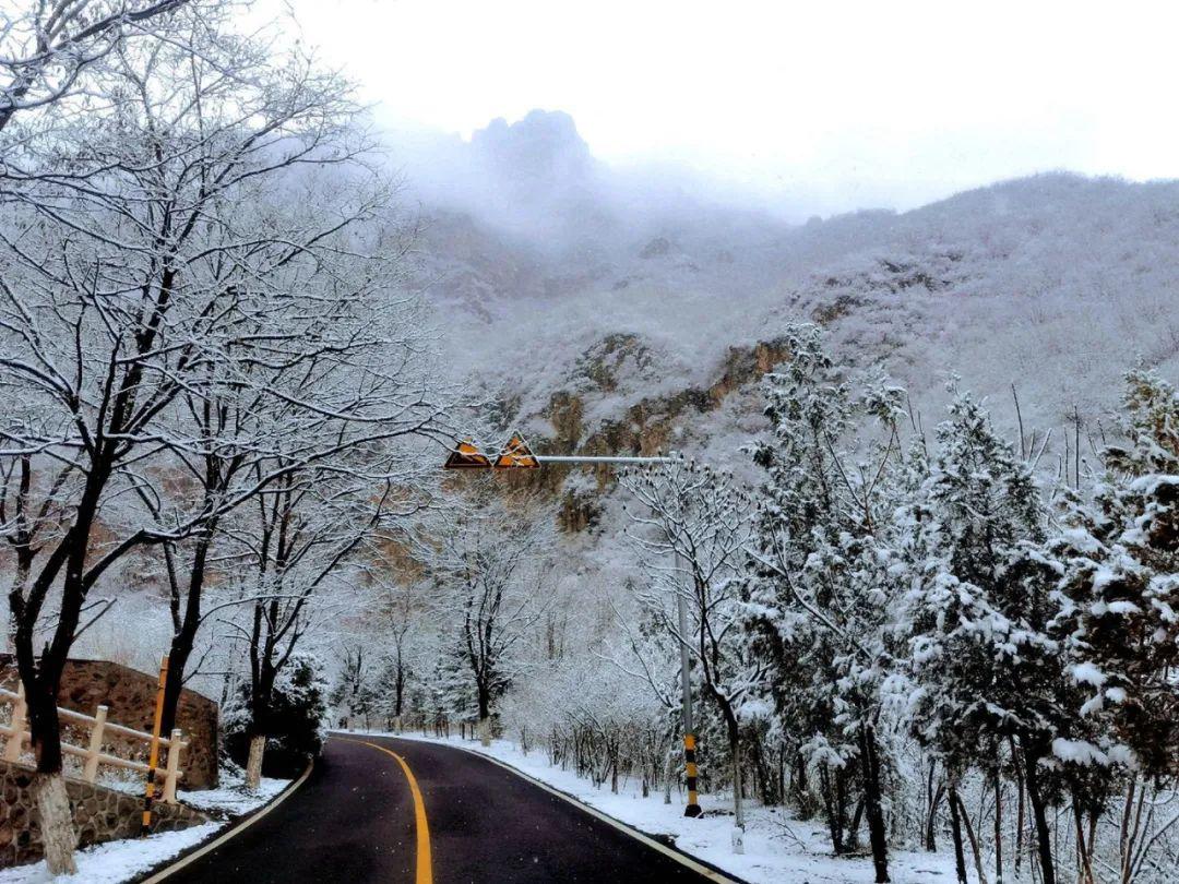 门头沟下雪了,还不小!注意防寒保暖!