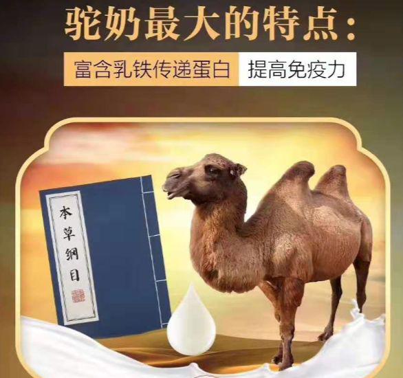 联合国官网报道:骆驼奶—人类找到的"长寿奶!