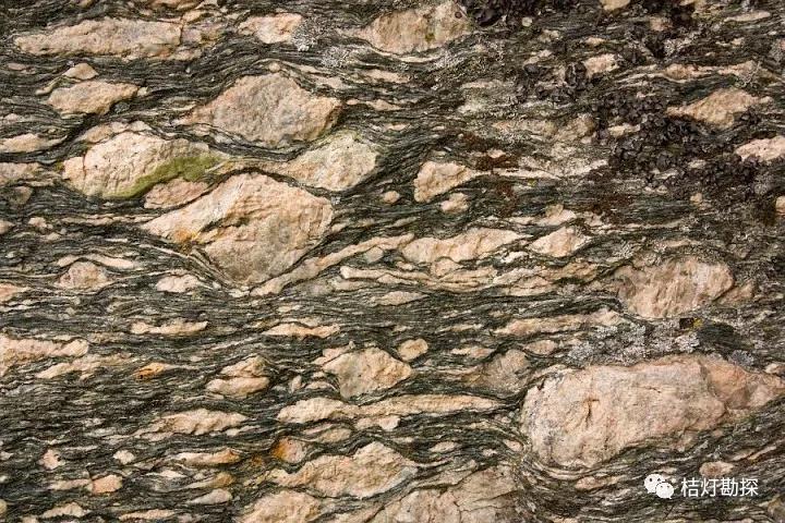 糜棱岩是颗粒很细呈条带状分布的动力渲质岩.
