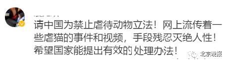 拍虐猫视频贩卖的大学生道歉，网友：你只是后悔事情闹大了