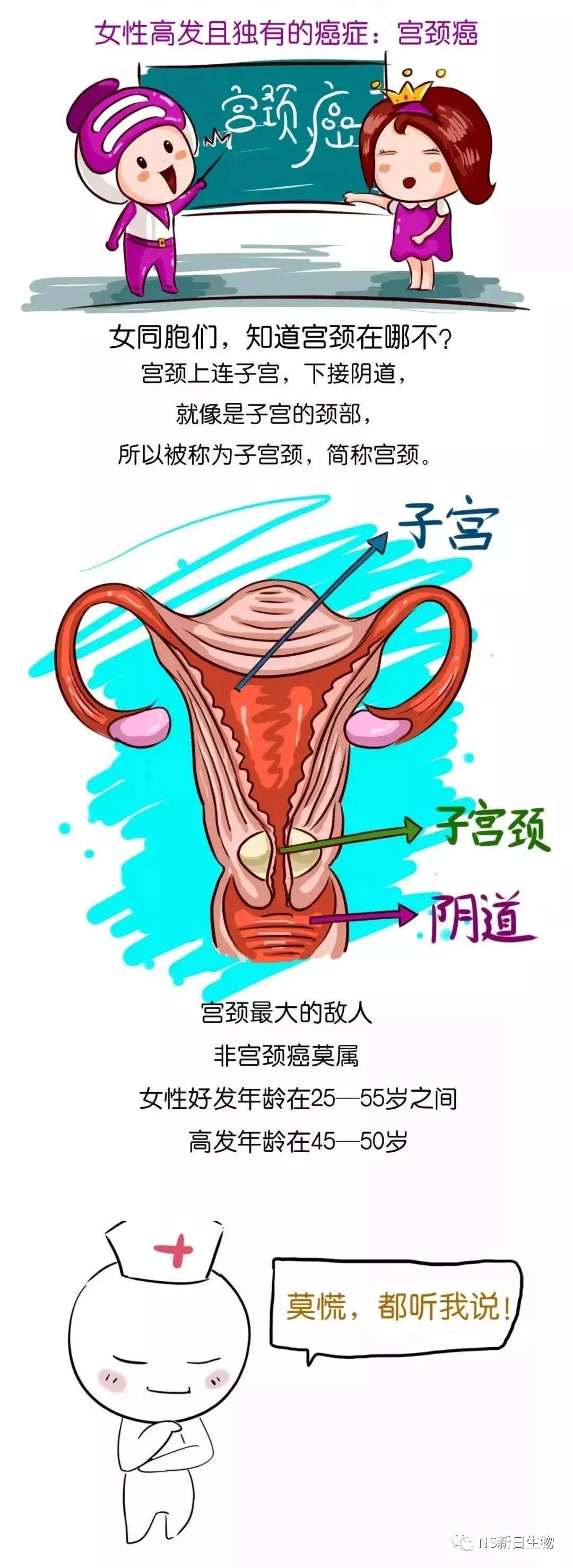 接种了宫颈癌疫苗以后,为什么还要做防癌筛查?