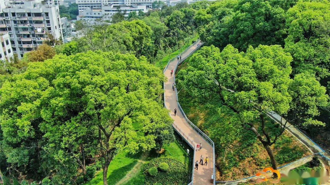 绝美"空中步道"下月开放了_白云山