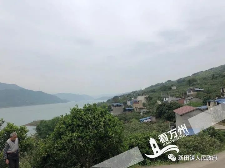 (来源:新田镇人民政府)