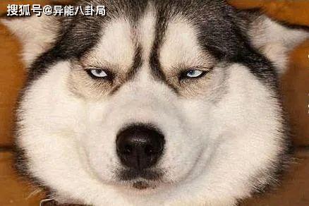不好意思，被尬到了…