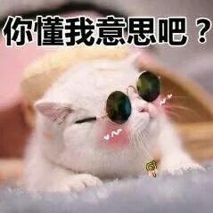 『考生』哪个决定你能进大学？建议收藏！高考常见的7种分数线
