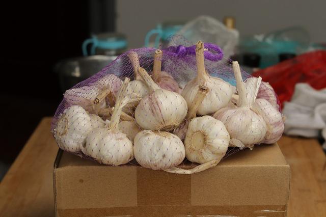 怎么种葱和大蒜 1995c756a6c14eb198b0e6061040705e.jpeg