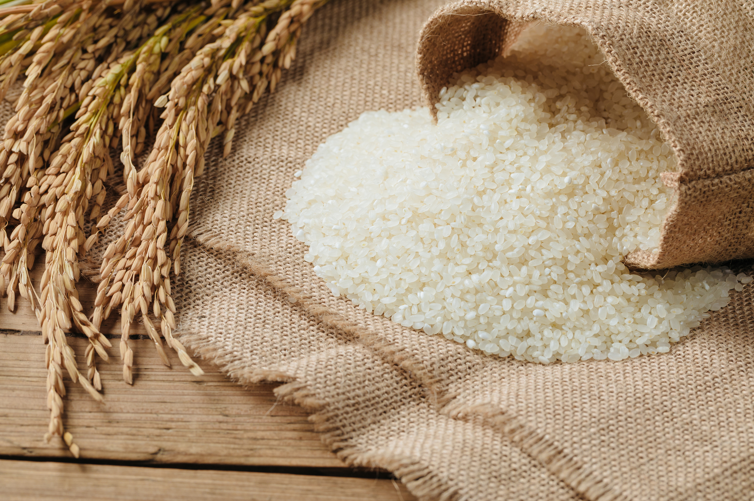 高端大米有多好?合理膳食比迷信高端大米更重要