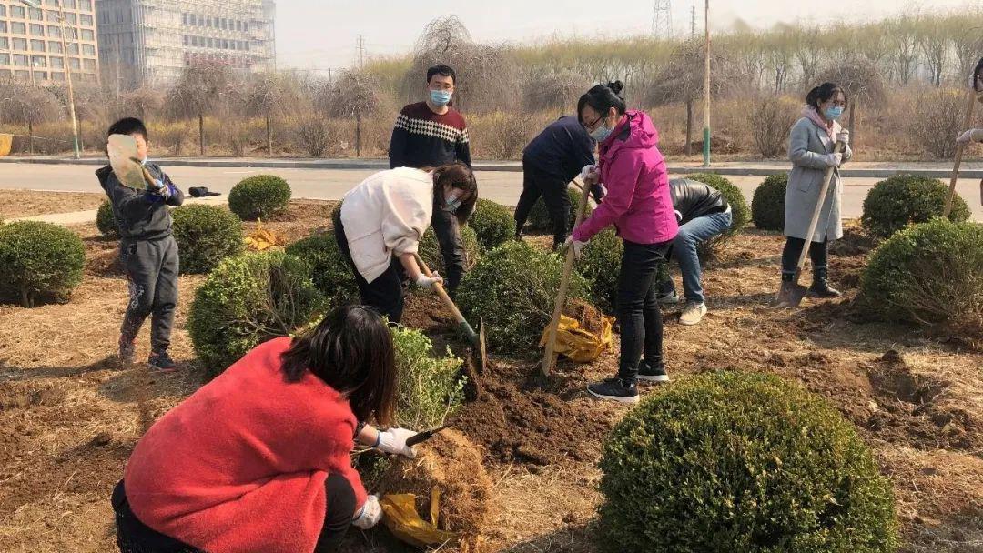 一堂别开生面的网上直播劳动教育课沈阳北软学院2020年春植树活动掠影