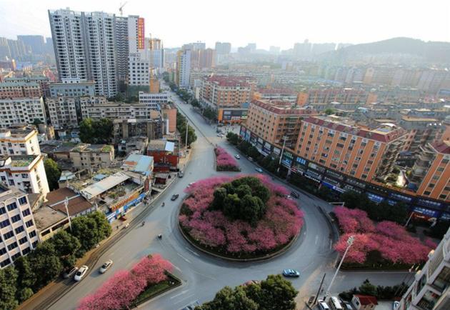 岳阳gdp 2020 常德_2020年岳阳征收红线图