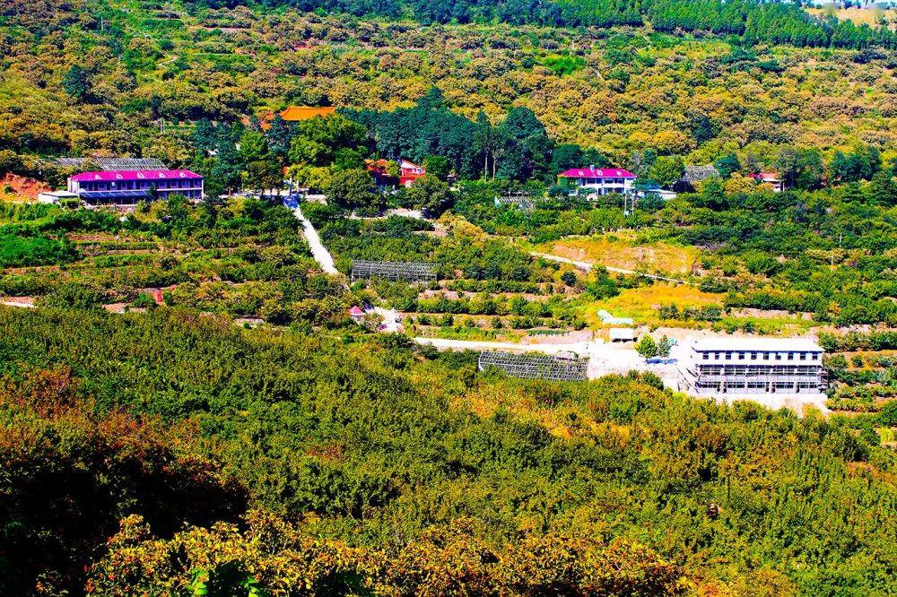 伴随着啾啾鸟鸣,在这个诗意栖居之地,01安丘城顶山生态旅游区9