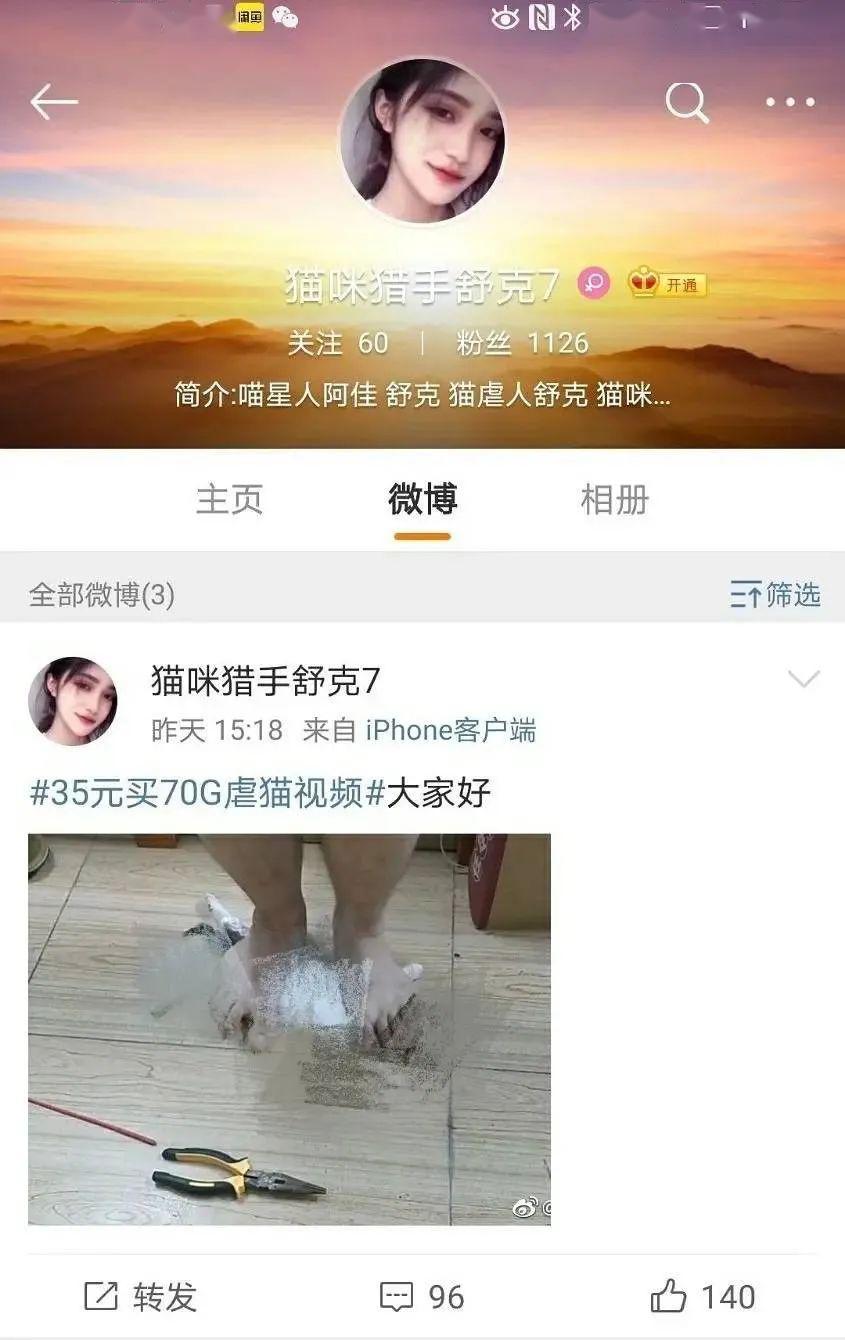 范源庆只不过是替罪羔羊虐猫背后的黑色产业链肮脏到你无法想象