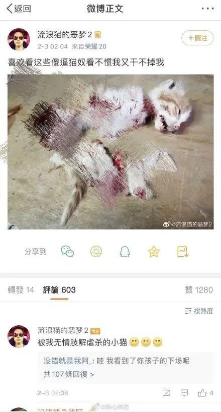 而这个舒克虐猫也不是一天两天了,他被网友扒出了真名和个人信息,他