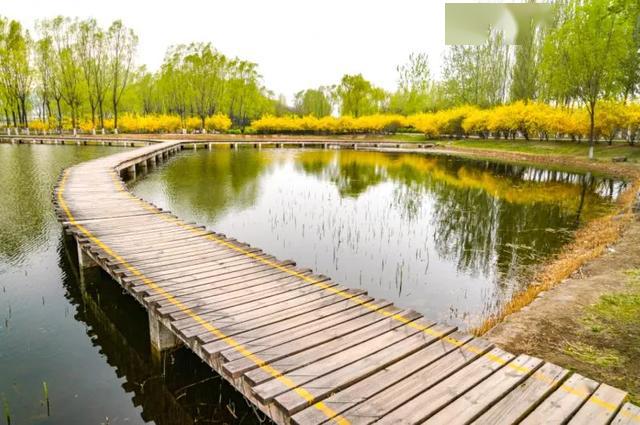 百里汾河川,太原后花园,在湿地公园畅享绿意空间